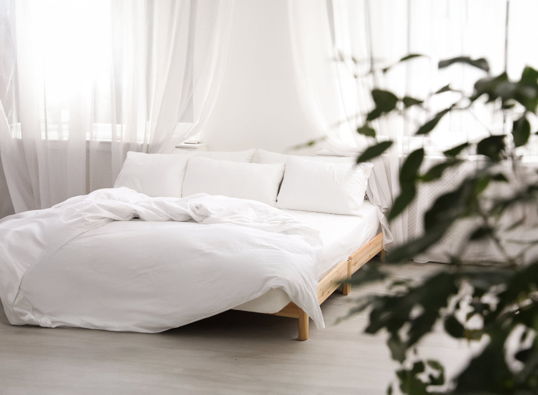 Bright bedroom with a made bed, white pillows and a green plant