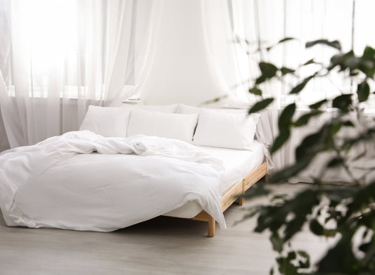 Bright bedroom with a made bed, white pillows and a green plant