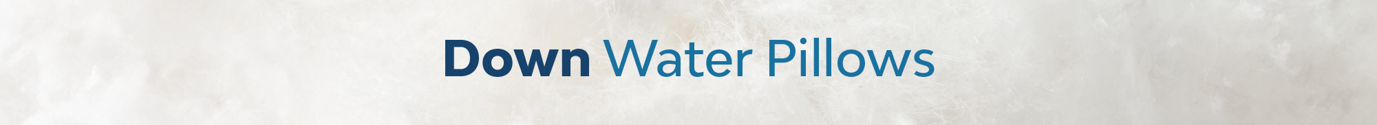 Desktop Banner